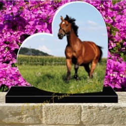 PLAQUE FUNÉRAIRE COEUR PLEXI CHEVAL 0241