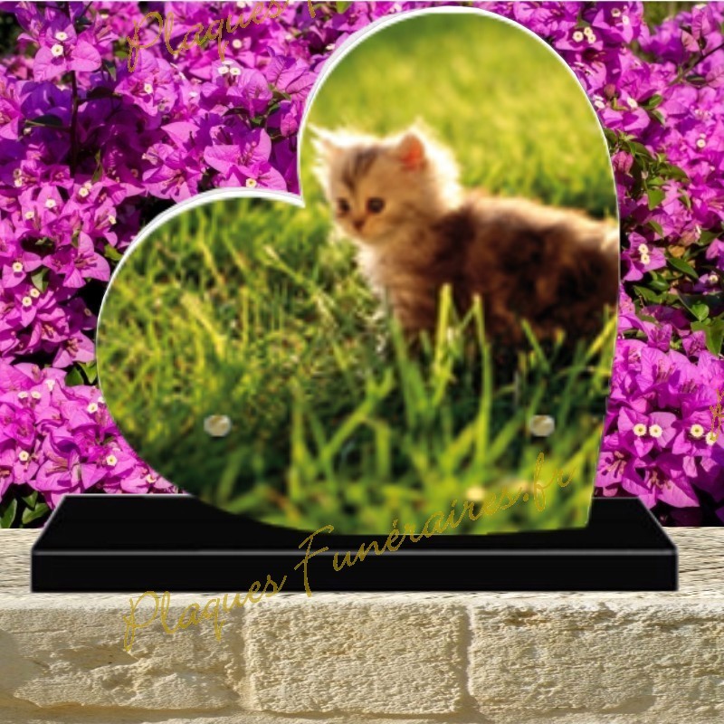 PLAQUE FUNÉRAIRE COEUR PLEXI CHAT 0246 PLAQUE FUNÉRAIRE COEUR PLEXI CHAT 0246