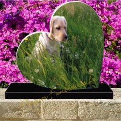 PLAQUE FUNÉRAIRE COEUR PLEXI CHIEN 0248