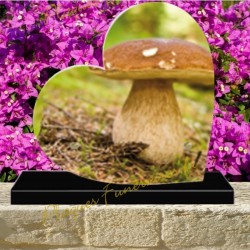 PLAQUE FUNÉRAIRE COEUR PLEXI CHAMPIGNON 0252