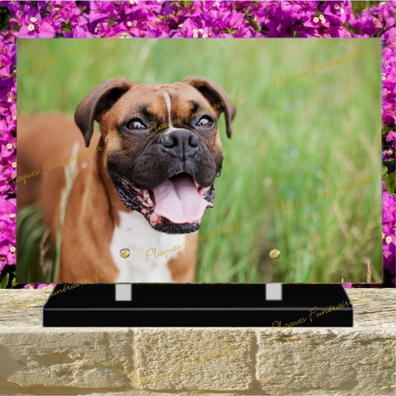 PLAQUE FUNÉRAIRE PLEXI CHIEN BOXER