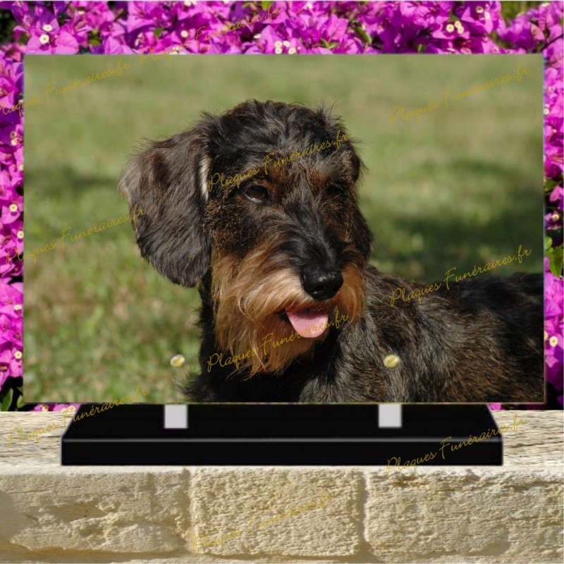 PLAQUE FUNÉRAIRE PLEXI CHIEN AIREDAL TERRIER