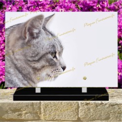 PLAQUE FUNÉRAIRE PLEXI CHAT AMERICAN CURL