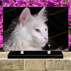 PLAQUE FUNÉRAIRE PLEXI CHAT ANGORA TURC