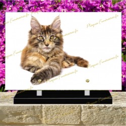 PLAQUE FUNÉRAIRE PLEXI MAIN COON