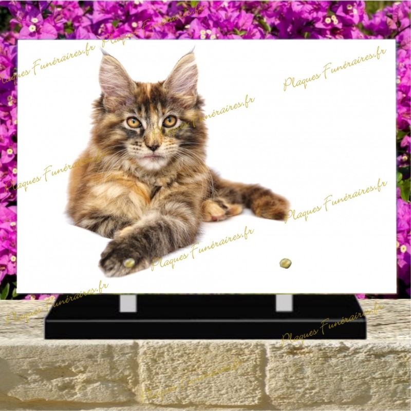 PLAQUE FUNÉRAIRE PLEXI MAIN COON PLAQUE FUNÉRAIRE PLEXI MAIN COON