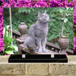 PLAQUE FUNÉRAIRE PLEXI CHAT NEBELUNG