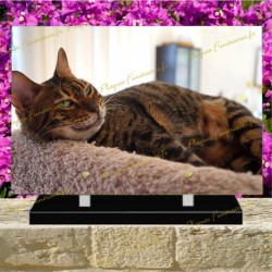 PLAQUE FUNÉRAIRE PLEXI CHAT OCICAT