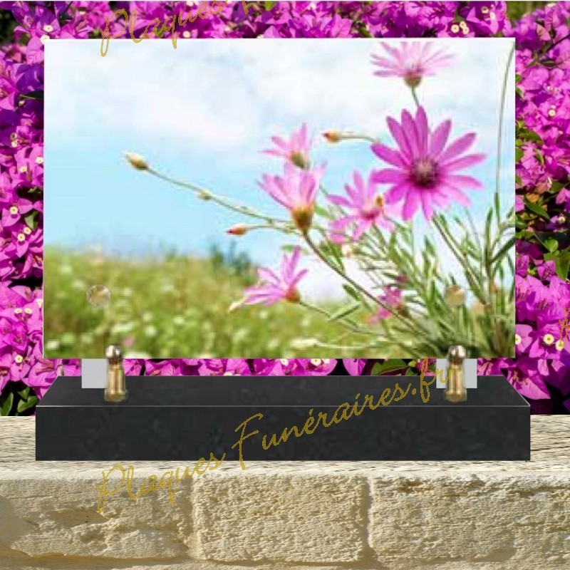 plaques plexi basique plaques plexi basique