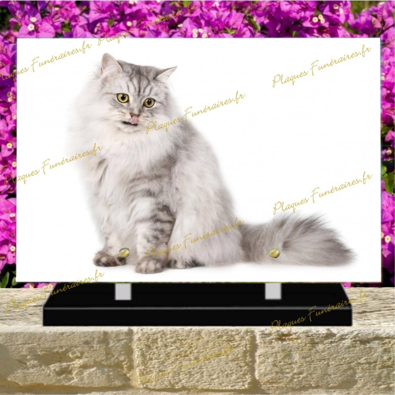 PLAQUE FUNÉRAIRE PLEXI CHAT RAGAMUFFIN PLAQUE FUNÉRAIRE PLEXI CHAT RAGAMUFFIN