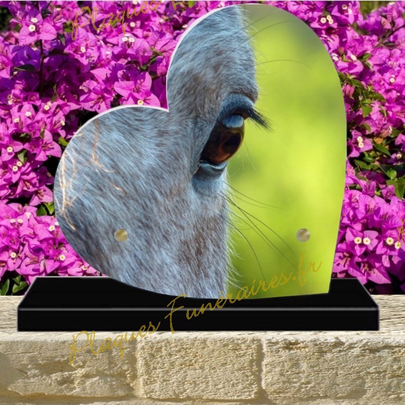 PLAQUE FUNÉRAIRE COEUR PLEXI CHEVAUX 0304 PLAQUE FUNÉRAIRE COEUR PLEXI CHEVAUX 0304