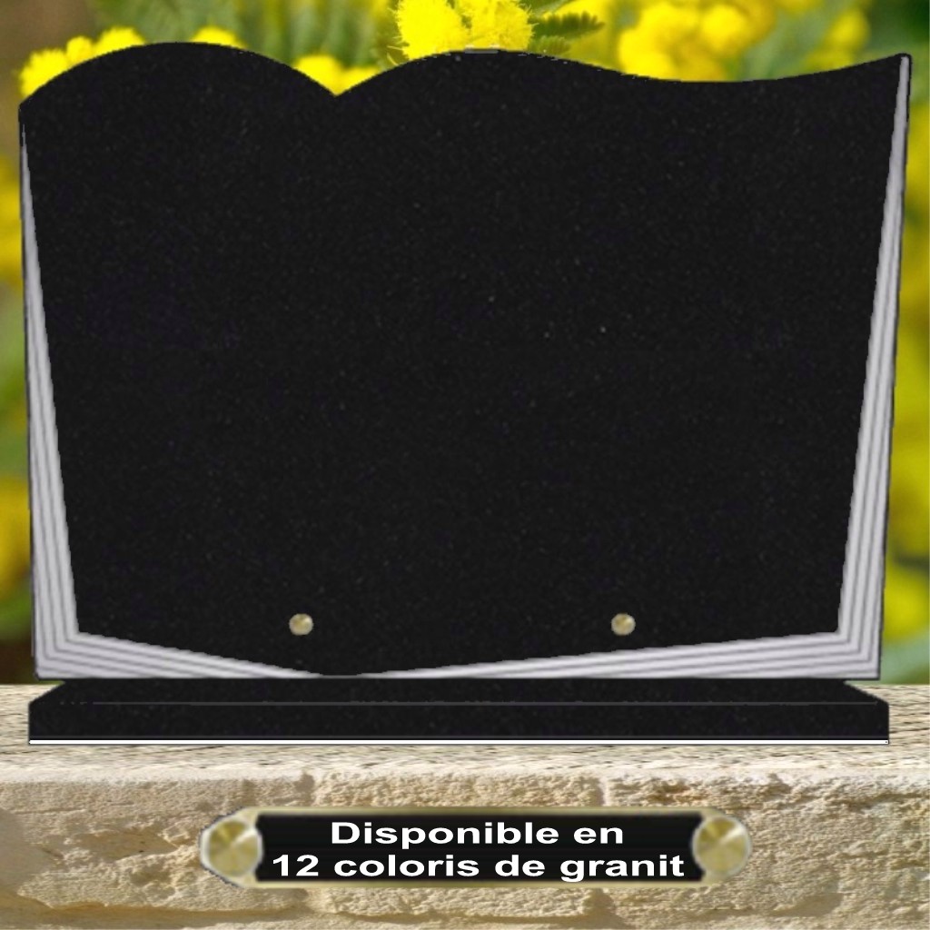 PLAQUE FUNERAIRE GRANIT SOCLE LIVRE CG05 PERSONNALISABLE PLAQUE FUNÉRAIRE PARIS