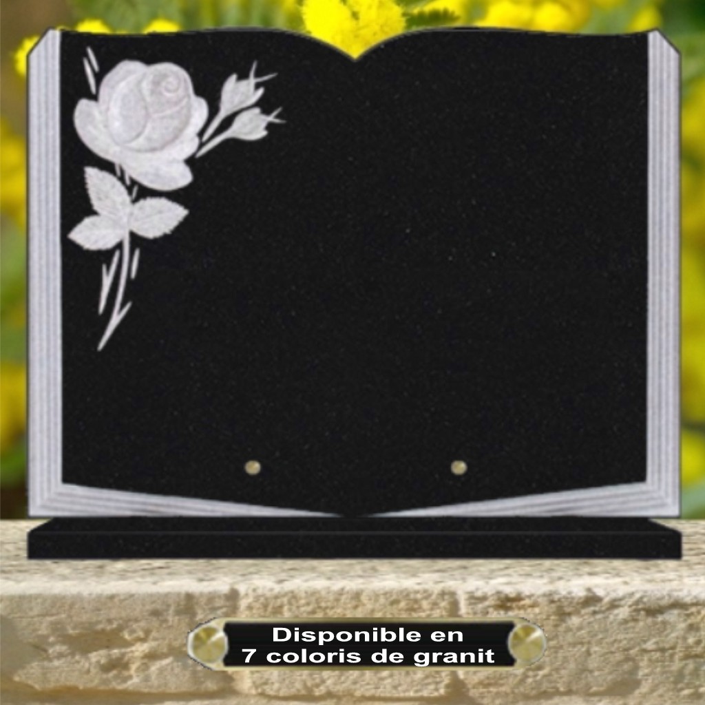 PLAQUE FUNERAIRE GRAVEE SUR SOCLE LIVRE CG21.